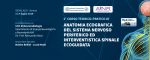 1° Corso Teorico-Pratico di Anatomia ecografica del sistema nervoso periferico ed interventistica spinale ecoguidata