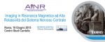 Imaging in Risonanza Magnetica ad Alta Relassività del Sistema Nervoso Centrale