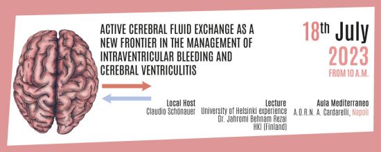 Active cerebral fluid exchange as a new frontier in the management of intraventricular bleeding and cerebral ventriculitis Active cerebral fluid exchange as a new frontier in the management of intraventricular bleeding and cerebral ventriculitis
