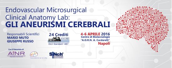 Endovascular Microsurgical Clinical Anatomy Lab: Gli Aneurismi Cerebrali Endovascular Microsurgical Clinical Anatomy Lab: Gli Aneurismi Cerebrali