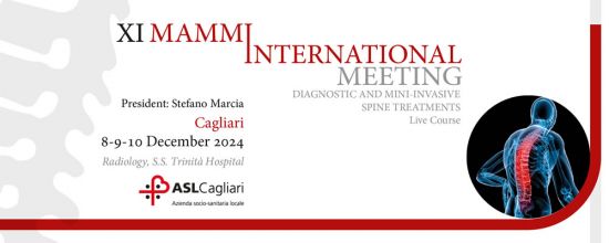 XI MAMMI International Meeting - Diagnostic and Mini-invasive spine treatments XI MAMMI International Meeting - Diagnostic and Mini-invasive spine treatments