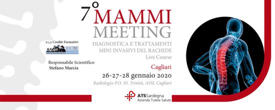 7° Mammi Meeting 7° Mammi Meeting