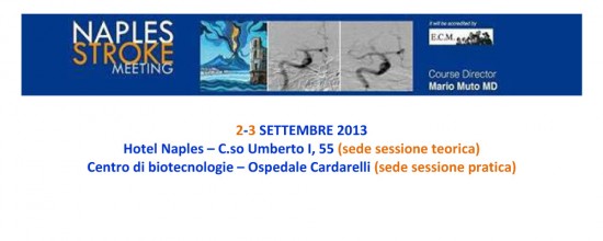 Naples Stroke Meeting