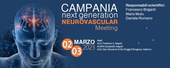 Campania next generation Neurovascular Meeting Campania next generation Neurovascular Meeting