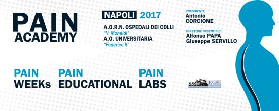 Pain Academy 2017 Pain Academy 2017