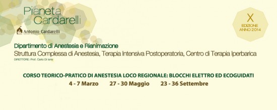 Pianeta Cardarelli X Edizione Anno 2014 - Corso Teorico-Pratico di Anestesia loco-regionale: blocchi elettro ed ecoguidati Pianeta Cardarelli X Edizione Anno 2014 - Corso Teorico-Pratico di Anestesia loco-regionale: blocchi elettro ed ecoguidati
