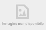 Ictus Ischemico Emorragico