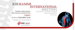 XIII MAMMI International Meeting - Diagnostic and Mini-invasive spine treatments